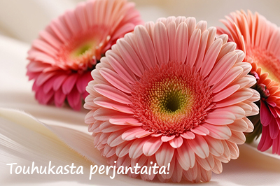 <span>Touhukasta perjantaita: 05.09.2025</span>